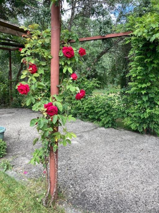 Casa Rural La Fresneda De Tenzuela Segovia Ngoại thất bức ảnh