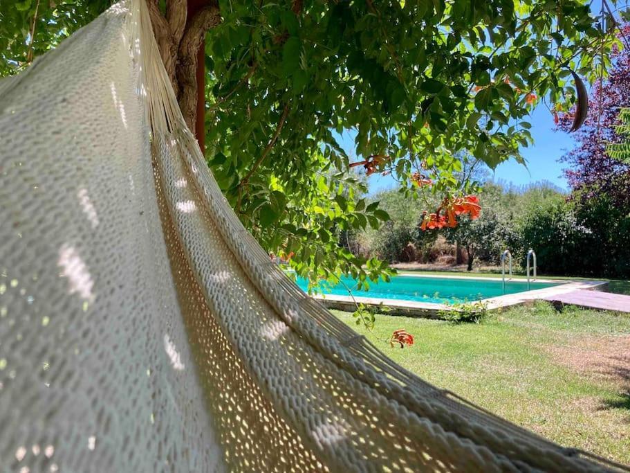 Casa Rural La Fresneda De Tenzuela Segovia Ngoại thất bức ảnh